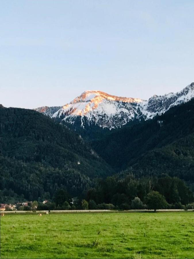 Haus Schwarz Lägenhet Staudach-Egerndach Exteriör bild